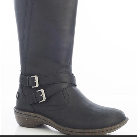 black and brown uggs black and brown uggs